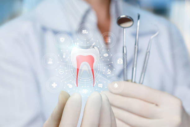 Best Dental Exams and Cleanings  in Seville, OH